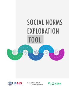 IMAGE - Social Norm Exploration Tool