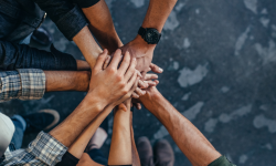 website hands hands